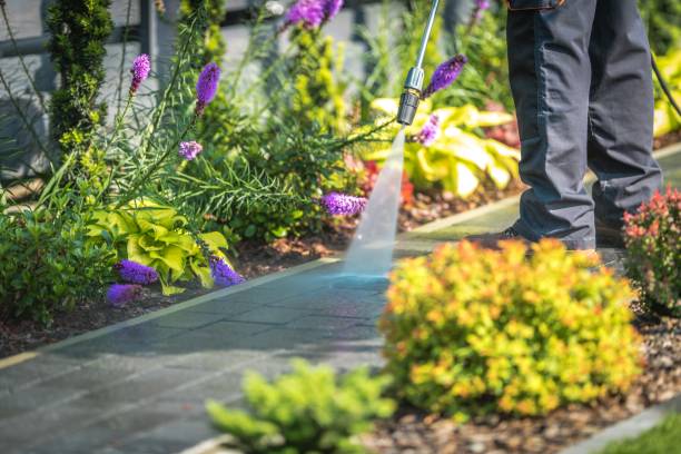 Best Driveway Cleaning and Restoration in Waycross, GA