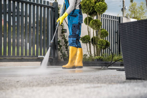 Best Roof Cleaning and Mildew Removal in Waycross, GA